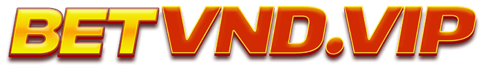 betvndwin.org Logo